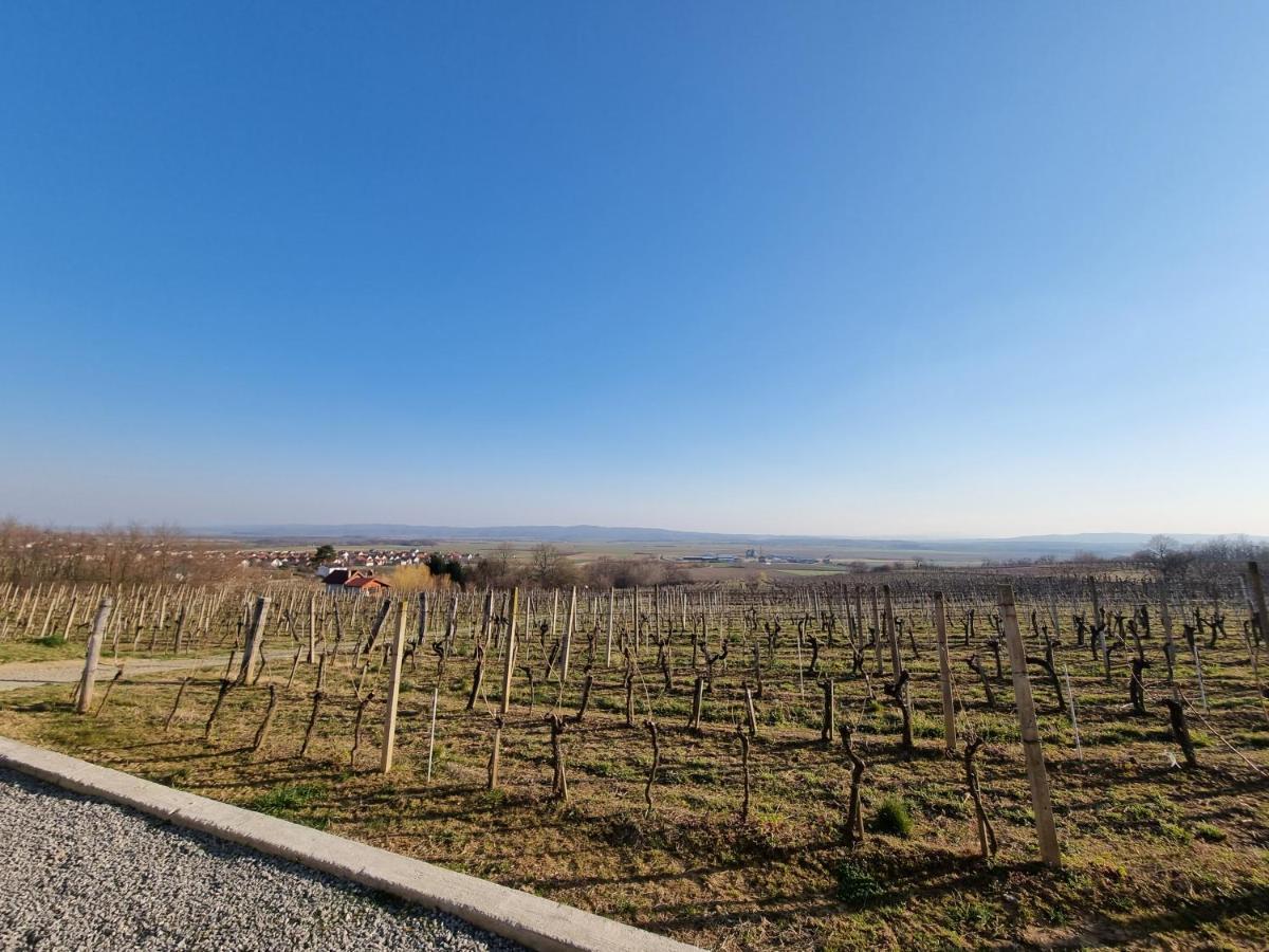 Kuca Za Odmor Baron Villa Kutjevo Exterior photo