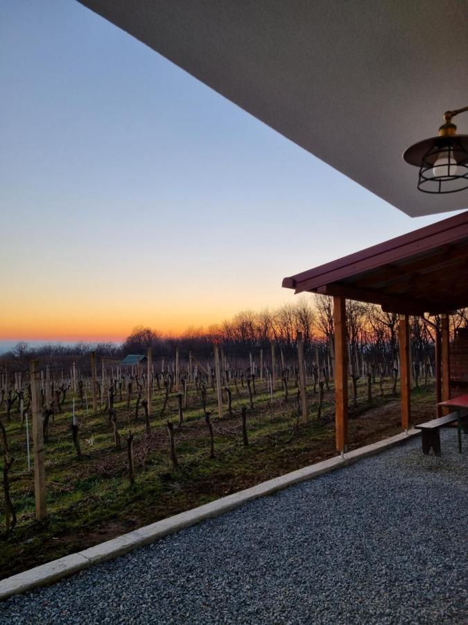 Kuca Za Odmor Baron Villa Kutjevo Exterior photo
